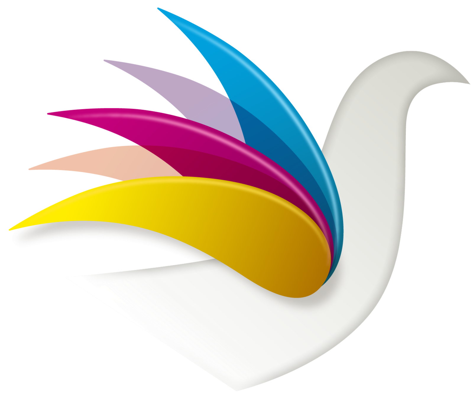 Kaos  Software 
